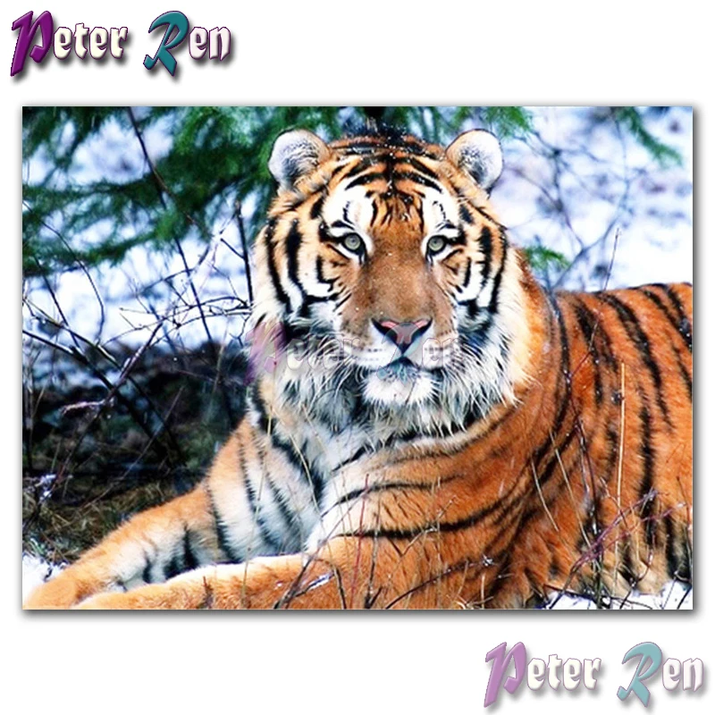 animal painting 5d Diamond of rhinestones Embroider Staring tiger Square/round Mosaic full Cross Stitch Living room decoration
animal painting 5d Diamond of rhinestones Embroider Staring tiger Square/round Mosaic full Cross Stitch Living room decoration