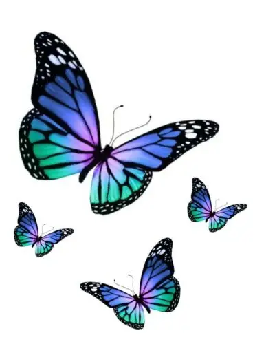 Blue Butterfly Sticker Colorful Laptop Cup Car Vehicle Window Bumper Vinyl Decal Cover Scratches Waterproof PVC
Blue Butterfly Sticker Colorful Laptop Cup Car Vehicle Window Bumper Vinyl Decal Cover Scratches Waterproof PVC