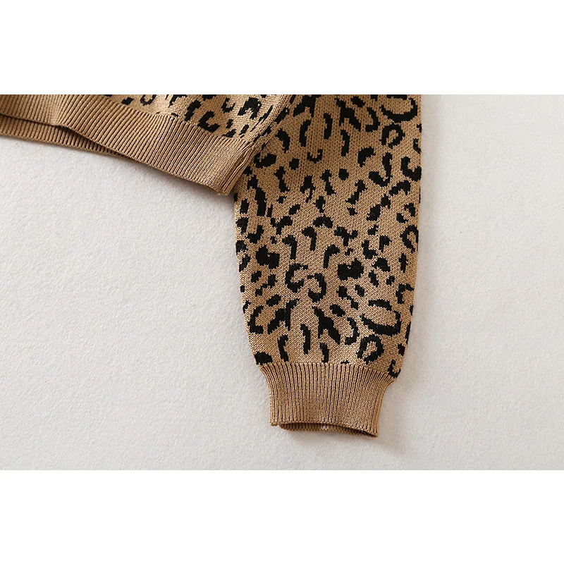 Vintage Leopard Pattern Loose Knitted Sweater Women 2020 Fashion O Neck Long Sleeve Animal Print Pullovers Za Casual Sweaters
Vintage Leopard Pattern Loose Knitted Sweater Women 2020 Fashion O Neck Long Sleeve Animal Print Pullovers Za Casual Sweaters