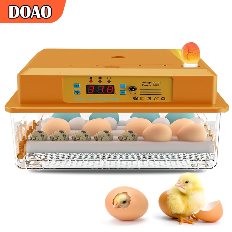 DOAO Egg Incubator Automatic Incubator Chicken Eggs Incubator Brooder Egg Incubator Fully Automatic 16 Egg Chick Quail Hatcher
DOAO Egg Incubator Automatic Incubator Chicken Eggs Incubator Brooder Egg Incubator Fully Automatic 16 Egg Chick Quail Hatcher