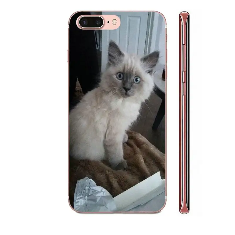 Чехол для телефона из ТПУ с серой кошкой и камерой Zenit Huawei Nova 2 V20 Y3II Y5 Y5II Y6 Y6II Y7 Y9 G8 G9