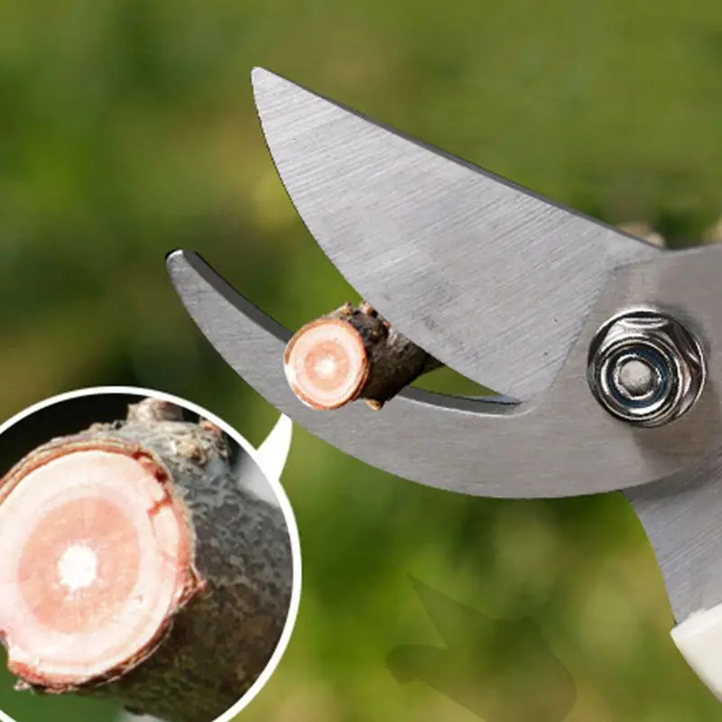 Pruner Tree Cutter Gardening Pruning Shear Scissor Stainless Steel Cutting Home Tools Anti-slip
Pruner Tree Cutter Gardening Pruning Shear Scissor Stainless Steel Cutting Home Tools Anti-slip