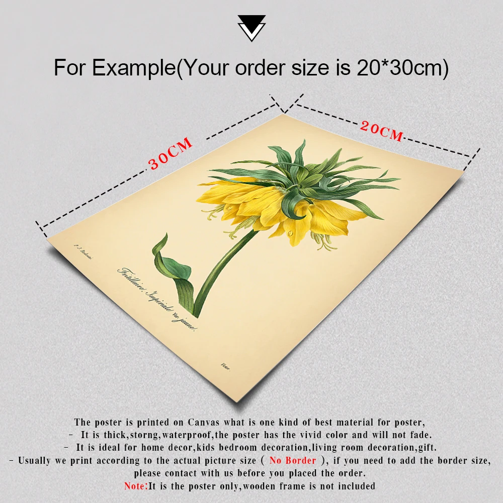 Vintage Flower Botanical Posters and Prints Retro Illustration Wall Art Canvas Painting Decorative Picture Modern Home Decoratio
Vintage Flower Botanical Posters and Prints Retro Illustration Wall Art Canvas Painting Decorative Picture Modern Home Decoratio