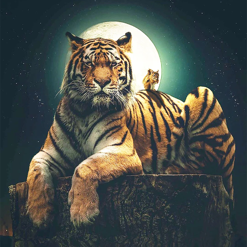 Diamond Embroidery 5D DIY Diamond Painting Tiger Full Square/Round Drill Mosaic Painting Cross Stitch Decoration ZWQ
Diamond Embroidery 5D DIY Diamond Painting Tiger Full Square/Round Drill Mosaic Painting Cross Stitch Decoration ZWQ