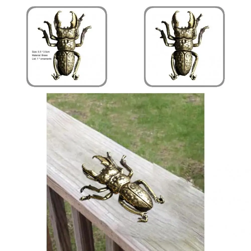 Fashion Beetle Decoration Easy to Carry Solid Color Vintage Simple Miniature Taurus Decor Beetle Craft Beetle Figurine
Fashion Beetle Decoration Easy to Carry Solid Color Vintage Simple Miniature Taurus Decor Beetle Craft Beetle Figurine