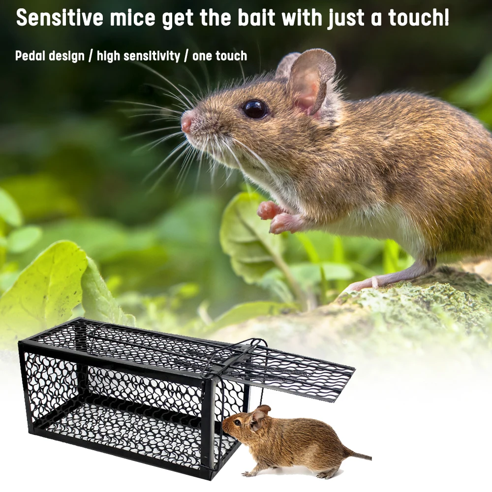 Smart Self-locking Rat Trap Reusable Heavy Duty Mouse Pest Animal Mice Hamster Cage Control Bait Rodent Repeller Catch MouseTrap
Smart Self-locking Rat Trap Reusable Heavy Duty Mouse Pest Animal Mice Hamster Cage Control Bait Rodent Repeller Catch MouseTrap