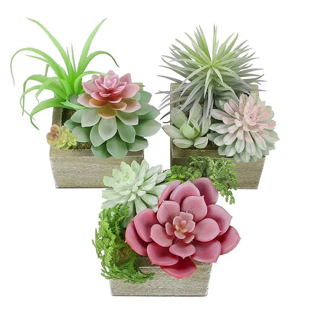 Artificial Succulents Plants In Pots Mini Faux Succulents Potted Fake Plant Decor Realistic For Home Garden Decoration
Artificial Succulents Plants In Pots Mini Faux Succulents Potted Fake Plant Decor Realistic For Home Garden Decoration