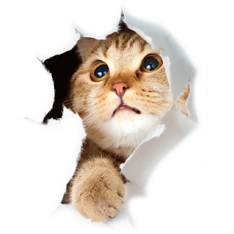 1PC Cute cats 3D Wall Sticker for Living room children's room Home decoration art Decals mural kitten puppy Stickers wallpaper 
1PC Cute cats 3D Wall Sticker for Living room children's room Home decoration art Decals mural kitten puppy Stickers wallpaper