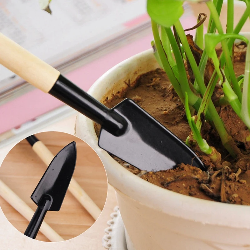 16Pcs Mini Gardening Tool Set Succulent Plants Tools Garden Hand Tools Transplanting Tools for Garden Plant Care
16Pcs Mini Gardening Tool Set Succulent Plants Tools Garden Hand Tools Transplanting Tools for Garden Plant Care