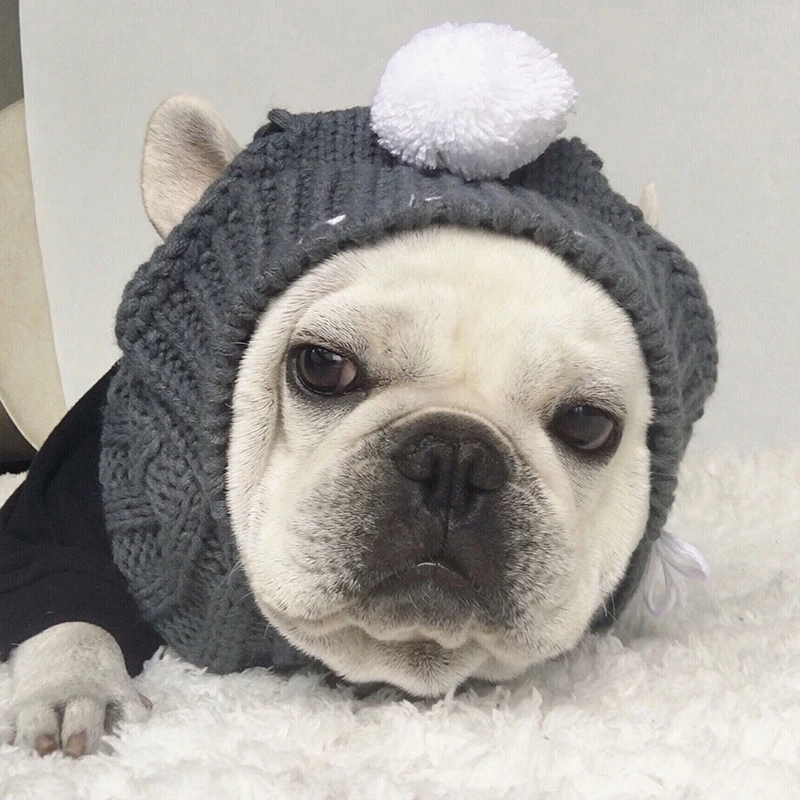 Pet Hat Warm Windproof Cute Dress Up Cap Pet Fun Headdress Cosplay Accessories For Cat Dog AA
Pet Hat Warm Windproof Cute Dress Up Cap Pet Fun Headdress Cosplay Accessories For Cat Dog AA