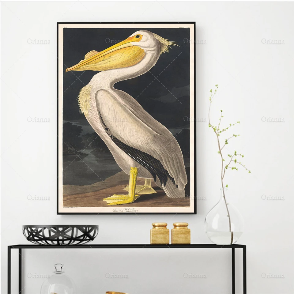 John James Audubon Birds, American White Pelican Poster Print, Bird Art, Vintage Bird Print, Gift Idea, Wall art poster print
John James Audubon Birds, American White Pelican Poster Print, Bird Art, Vintage Bird Print, Gift Idea, Wall art poster print