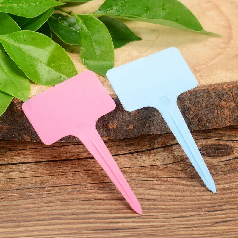 100Pcs Plant Markers T Type Plant Tags Colorful Waterproof Label Nursery Garden Blank Labels Plant Pot Seedling Tray Mark Tool
100Pcs Plant Markers T Type Plant Tags Colorful Waterproof Label Nursery Garden Blank Labels Plant Pot Seedling Tray Mark Tool