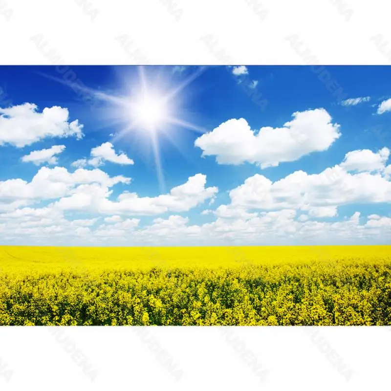 Diy Diamond Painting Landscape Rape Flower Simple Handmade Diamond Round Diamond Square Diamond Acrylic Home Decoration
Diy Diamond Painting Landscape Rape Flower Simple Handmade Diamond Round Diamond Square Diamond Acrylic Home Decoration