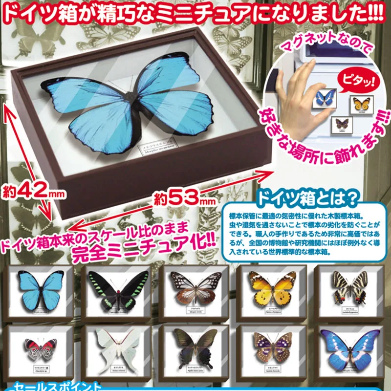 Japan IKIMON Capsule Toys Gashapon Pet Reptiles Decoration Insects Arthropod Animal Model Collection Butterfly Specimens
Japan IKIMON Capsule Toys Gashapon Pet Reptiles Decoration Insects Arthropod Animal Model Collection Butterfly Specimens