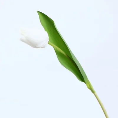 10pcs Beauty Real touch flowers latex Tulips Artificial Flower Bouquet Fake flower Wedding Bridal Decoration flowers for wedding
10pcs Beauty Real touch flowers latex Tulips Artificial Flower Bouquet Fake flower Wedding Bridal Decoration flowers for wedding
