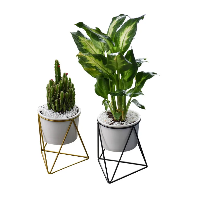 Simple Style Wrought Iron Ceramic Planting Pots, Green Planting Soil Pots, Living Room Decorations, Christmas Gifts
Simple Style Wrought Iron Ceramic Planting Pots, Green Planting Soil Pots, Living Room Decorations, Christmas Gifts