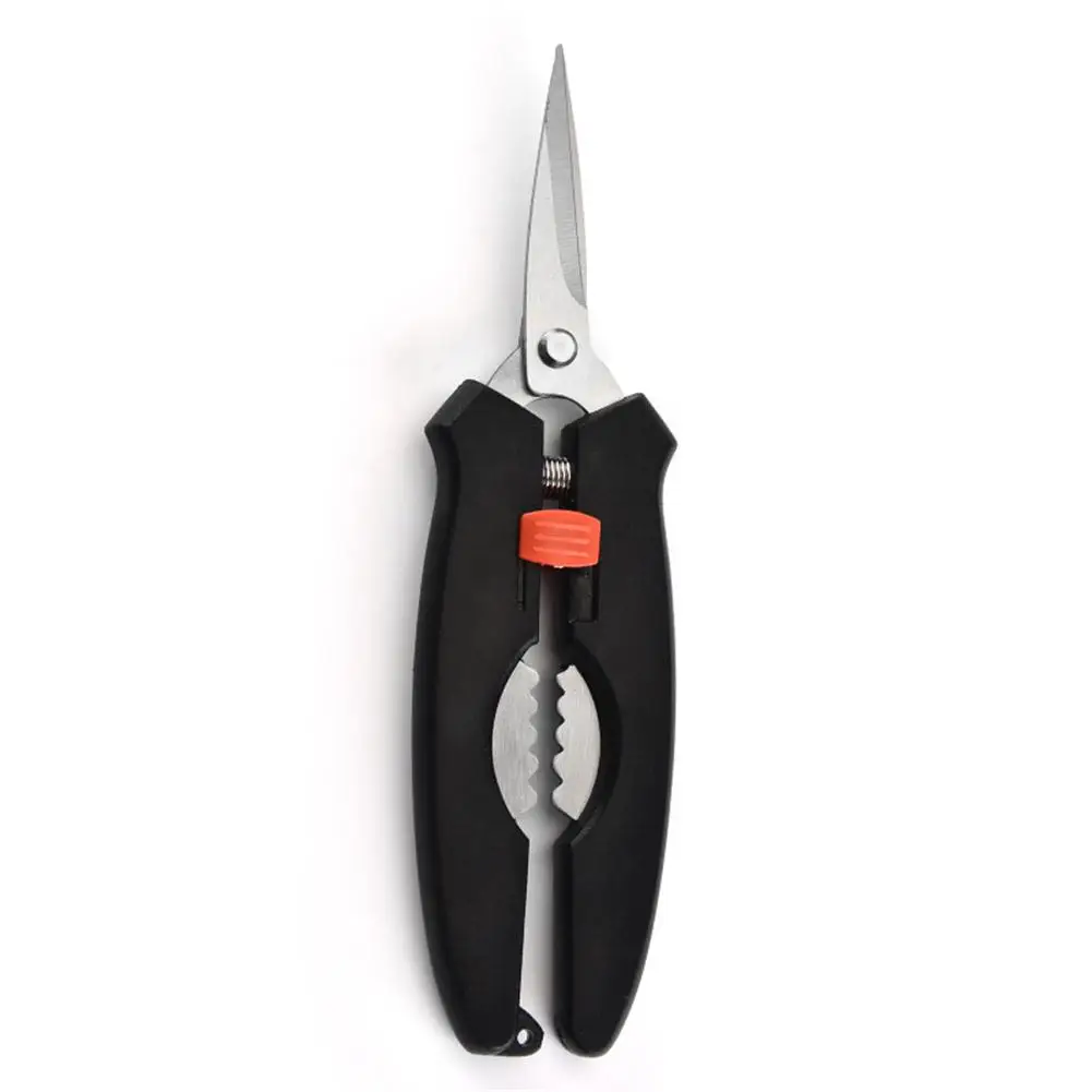 Lobster Scissors Stainless Steel Kitchen Seafood Scissors Cutting Accessories
Lobster Scissors Stainless Steel Kitchen Seafood Scissors Cutting Accessories