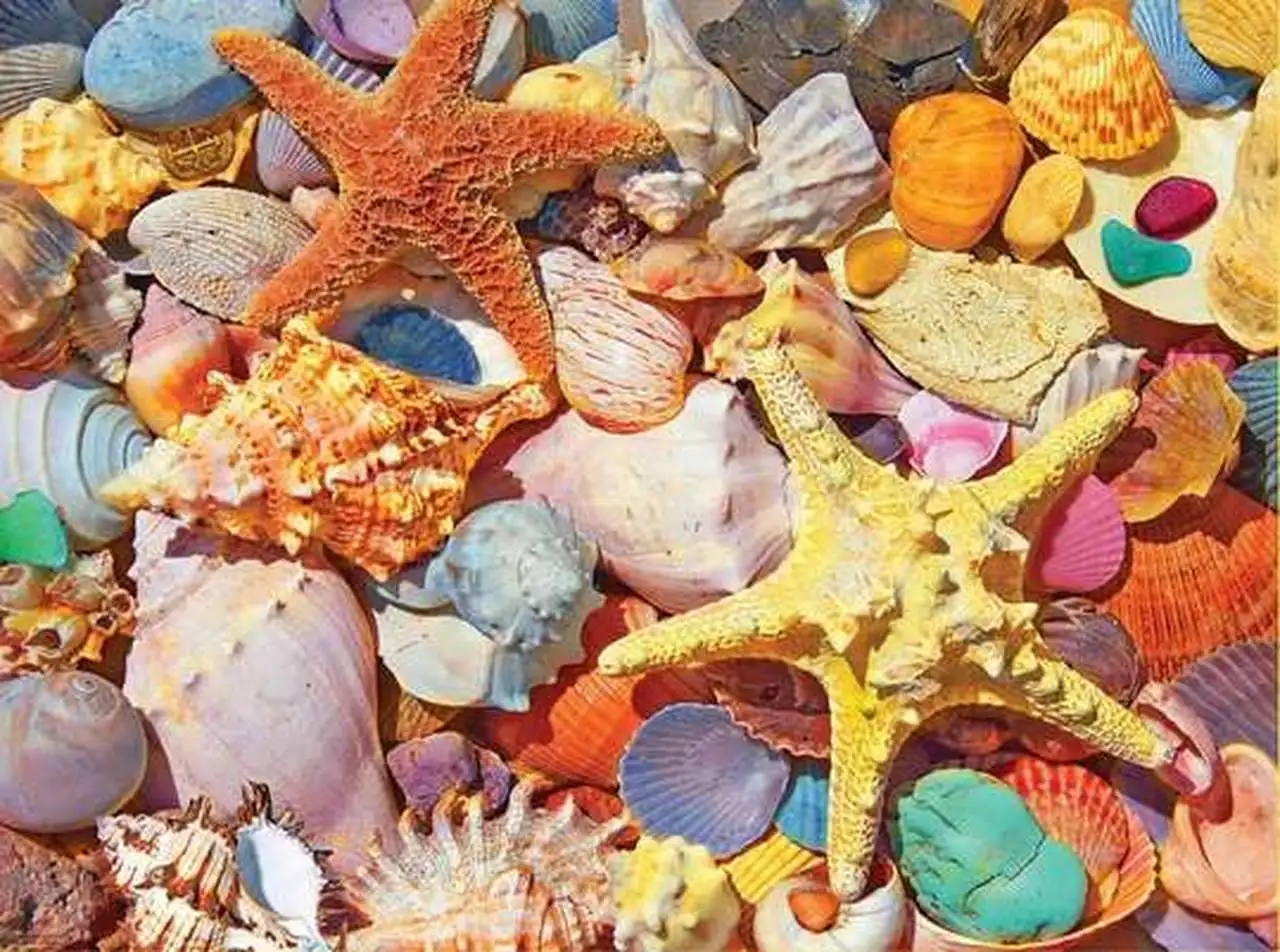 JMINE Div 5D Sea shell Full Diamond Painting cross stitch kits art High Quality Scenic 3D paint by diamonds
JMINE Div 5D Sea shell Full Diamond Painting cross stitch kits art High Quality Scenic 3D paint by diamonds