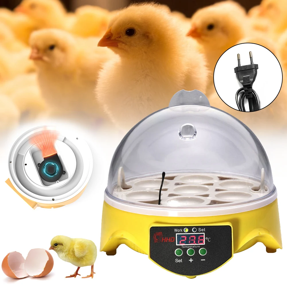 Mini Hatching Machine Eggs Rack Automatic Intelligent Temperature Control 7 Egg Incubator Poultry Incubator Farm Animal Supplies
Mini Hatching Machine Eggs Rack Automatic Intelligent Temperature Control 7 Egg Incubator Poultry Incubator Farm Animal Supplies