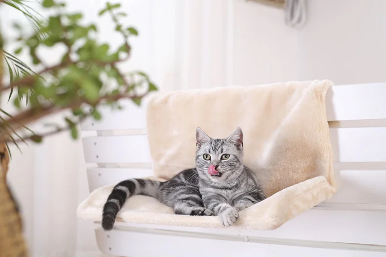 Hot Sales Soft Bed Pet Cat Animal Hammack Radiator Bed Hanging Winter Warm Fleece Basket Hammocks Metal Iron Frame Sleeping Beds
Hot Sales Soft Bed Pet Cat Animal Hammack Radiator Bed Hanging Winter Warm Fleece Basket Hammocks Metal Iron Frame Sleeping Beds