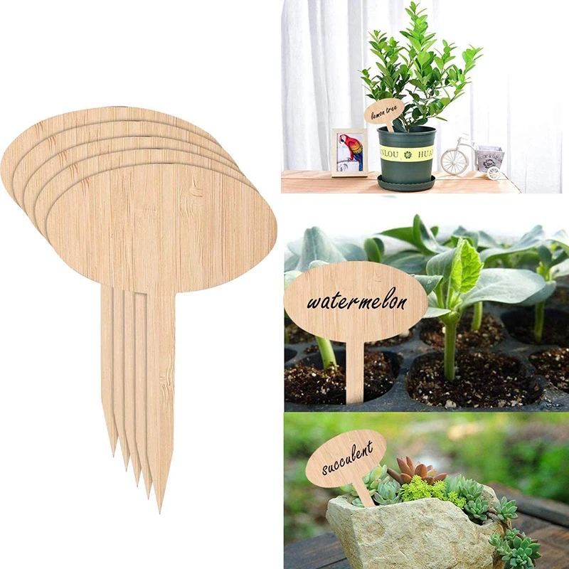 50Pcs 10cm T-Type Bamboo Plant Labels Eco-Friendly Wooden Plant Sign Tags Garden Markers For Seed Potted Herbs Flowers Tools
50Pcs 10cm T-Type Bamboo Plant Labels Eco-Friendly Wooden Plant Sign Tags Garden Markers For Seed Potted Herbs Flowers Tools