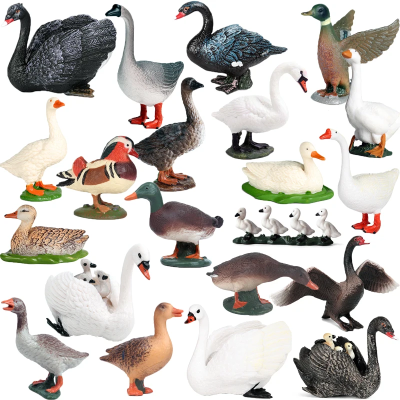 Cute Simulation Poultry Farm Animals Model Ducks Goose Flock Action Figures Animals Figurine PVC Miniature Kids Educational Toys
Cute Simulation Poultry Farm Animals Model Ducks Goose Flock Action Figures Animals Figurine PVC Miniature Kids Educational Toys