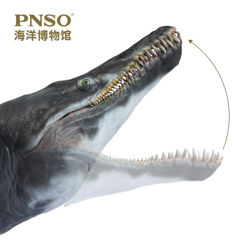 Новое поступление PNSO морское животное Джефф кронозавр 1:35 научная художественная
