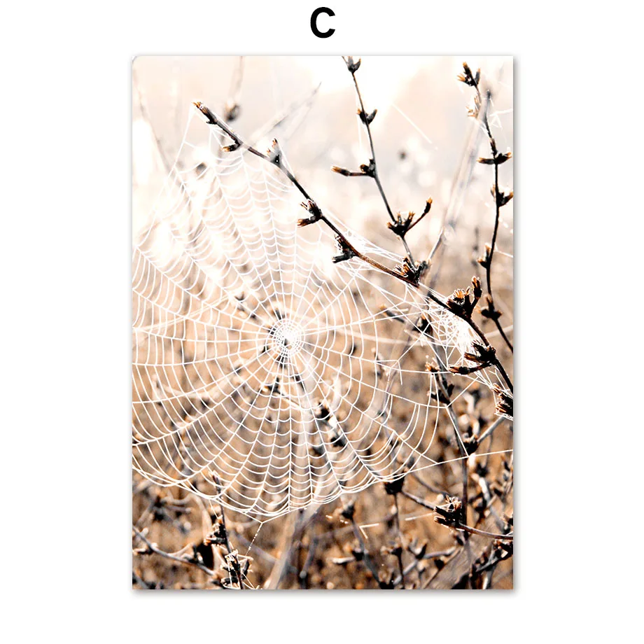 Canyon Forest Reed Cobweb Mountain Autumn Home Art Canvas Painting Nordic Posters And Prints Wall Pictures For Living Room Decor
Canyon Forest Reed Cobweb Mountain Autumn Home Art Canvas Painting Nordic Posters And Prints Wall Pictures For Living Room Decor