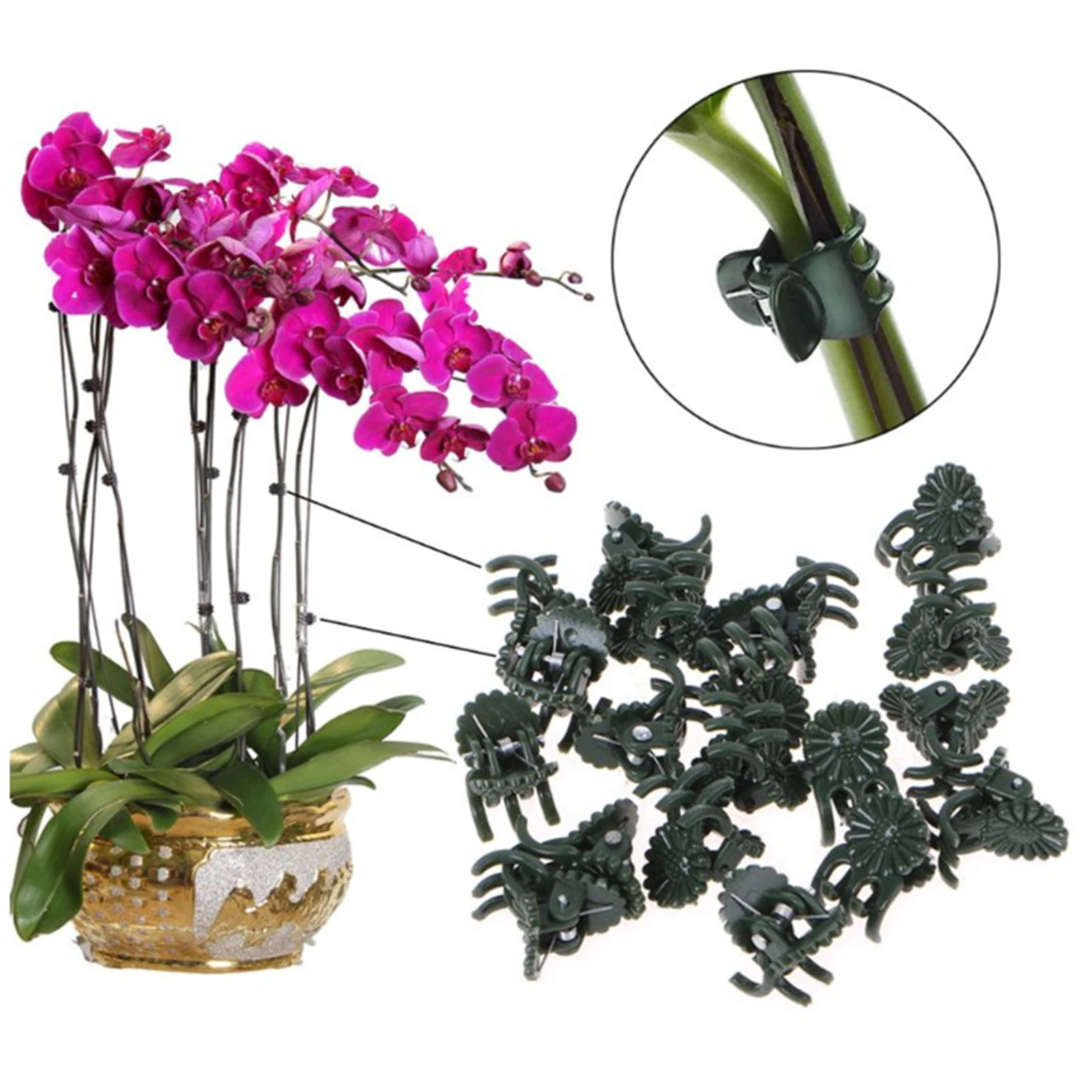50PCS Plastic Plant Support Clips Orchid Stem Clip for Vine Support Vegetables Flower Tied Bundle Branch Clamping Garden Tool
50PCS Plastic Plant Support Clips Orchid Stem Clip for Vine Support Vegetables Flower Tied Bundle Branch Clamping Garden Tool