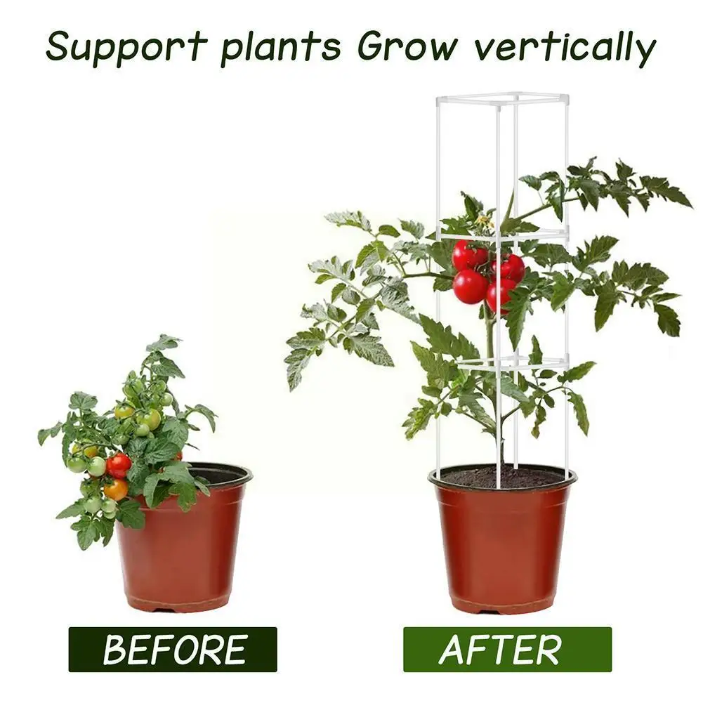 Plant Support Rod Fixed Connector Gardening Vegetable Rod Support Vines Climbing Connecting Plant M7k0
Plant Support Rod Fixed Connector Gardening Vegetable Rod Support Vines Climbing Connecting Plant M7k0