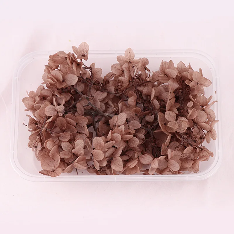 Real Dried Flower Dry Plants For Aromatherapy Candle Epoxy Resin Pendant Necklace Jewelry Making Craft DIY Accessories H
Real Dried Flower Dry Plants For Aromatherapy Candle Epoxy Resin Pendant Necklace Jewelry Making Craft DIY Accessories H