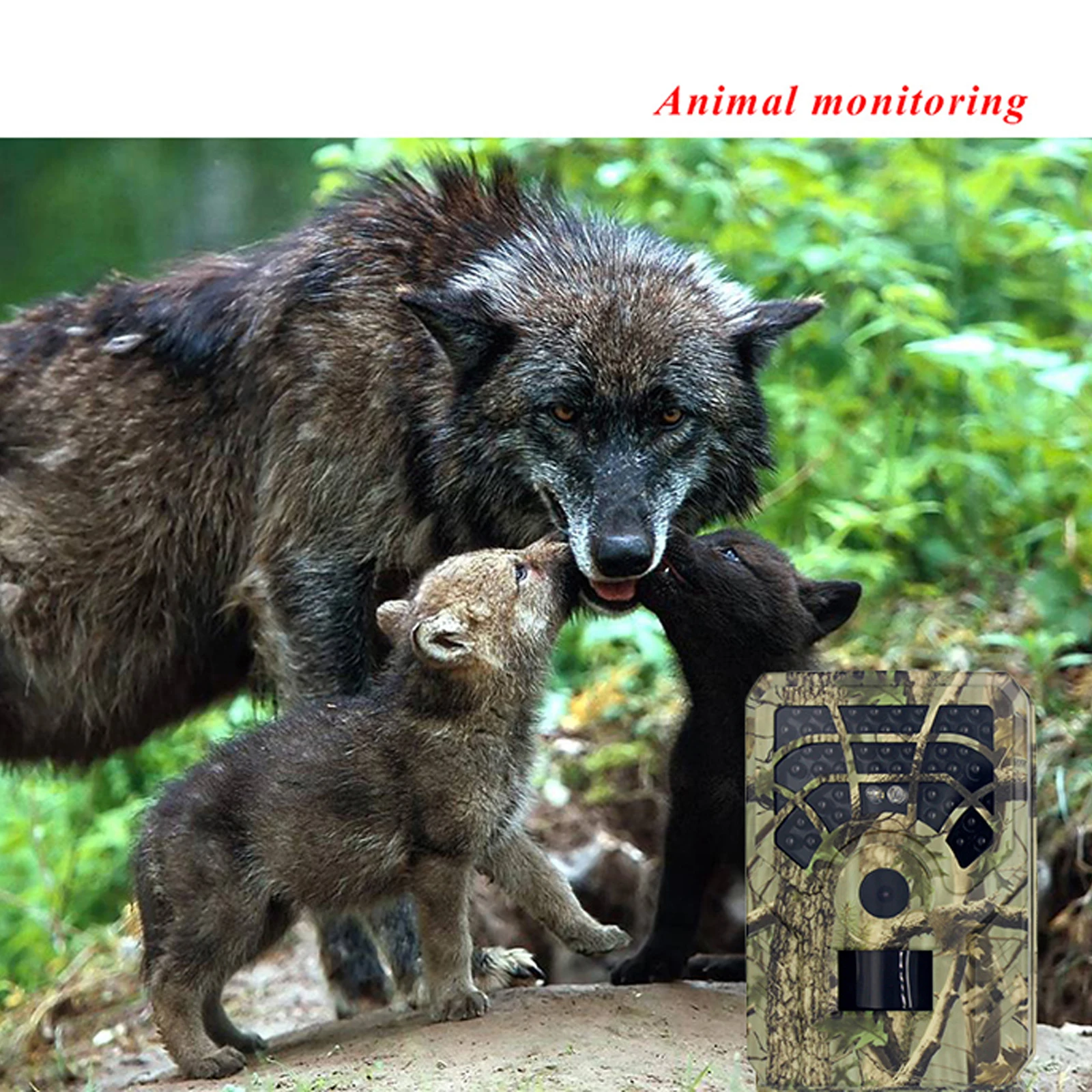 Night Vision Hunting Camera PR300A Wild Camera Outdoor Monitoring Trail Wildlife Infrared Camera with 8G/16G/32G TF Card
Night Vision Hunting Camera PR300A Wild Camera Outdoor Monitoring Trail Wildlife Infrared Camera with 8G/16G/32G TF Card