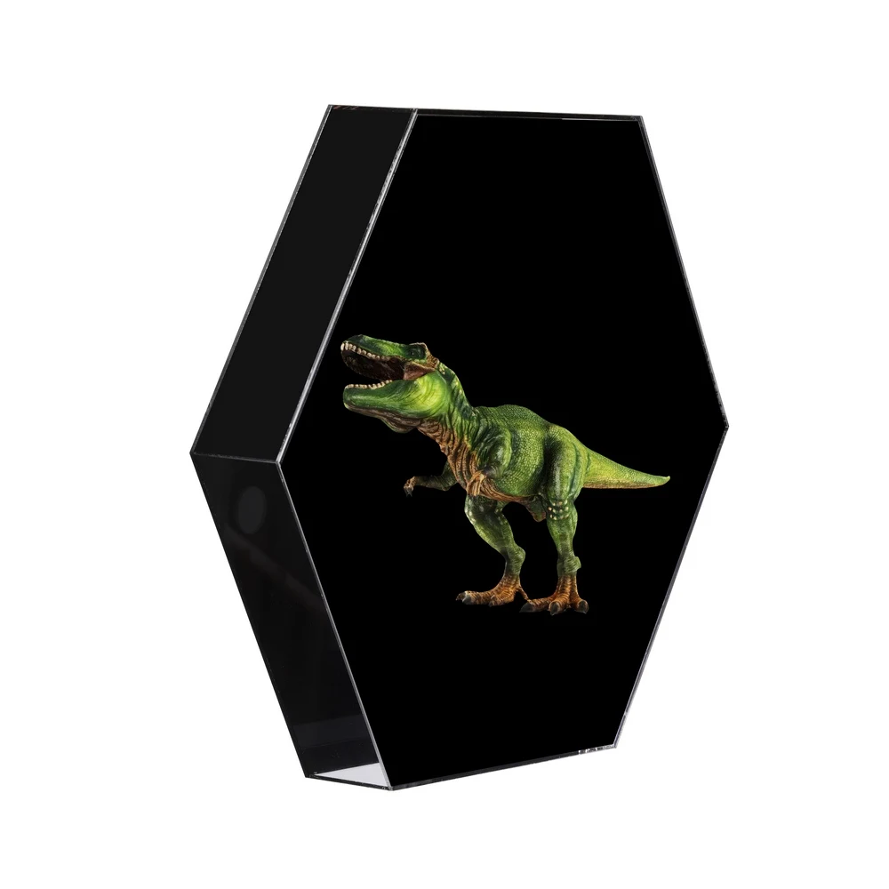 3D Hologram Projector Fan 3D Advertising Logo Light Hexagonal LED Sign Holographic Lamp 16G TF Naked Eye Fan Support Image Video
3D Hologram Projector Fan 3D Advertising Logo Light Hexagonal LED Sign Holographic Lamp 16G TF Naked Eye Fan Support Image Video