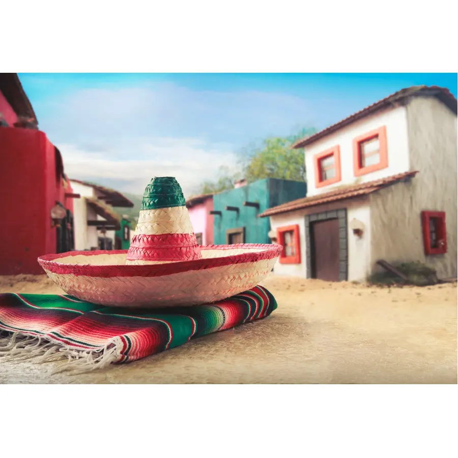Holiday Backdrop Colorful Hat and House Photography Background Holiday Celebration Photo Booth Studio Decor
Holiday Backdrop Colorful Hat and House Photography Background Holiday Celebration Photo Booth Studio Decor