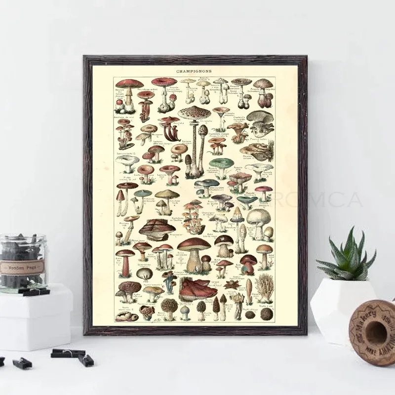 Antique Botanical Prints Mushroom Poster French Version Educational Vintage Wall Art Canvas Painting Picture Home Wall Decor
Antique Botanical Prints Mushroom Poster French Version Educational Vintage Wall Art Canvas Painting Picture Home Wall Decor