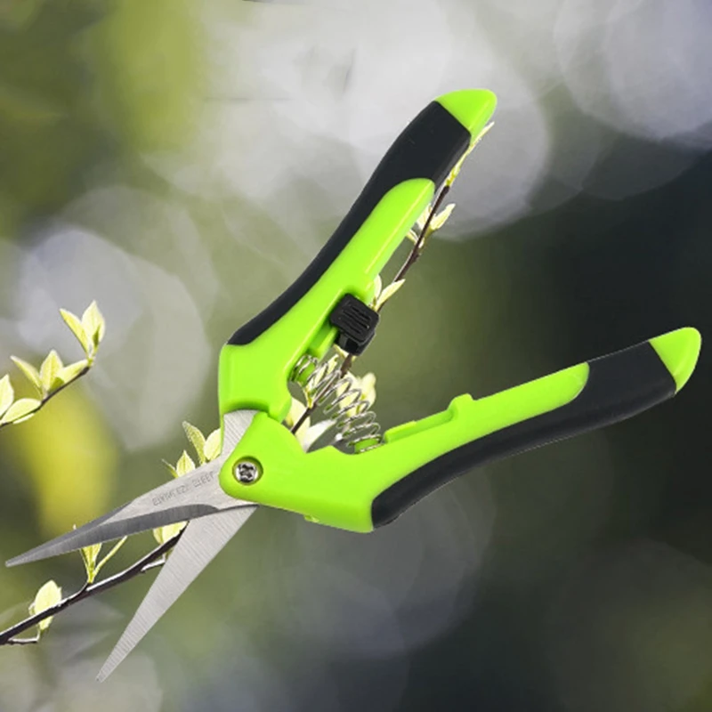 Garden Stainless Pruning Shears Fruit Picking Scissors Household Potted Trim Branches Small Gardening Tools
Garden Stainless Pruning Shears Fruit Picking Scissors Household Potted Trim Branches Small Gardening Tools