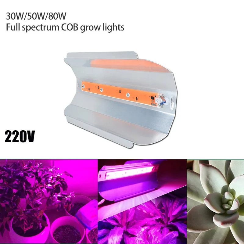 220V COB LED Grow Light indoor outdoor waterproof plant lamp aluminum Flower greenhouse vegetable cultivo room garden box
220V COB LED Grow Light indoor outdoor waterproof plant lamp aluminum Flower greenhouse vegetable cultivo room garden box