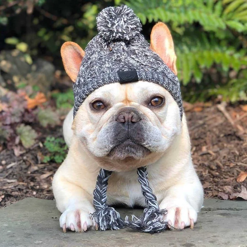 Christmas French Bulldog Dog Hat Winter Warm Windproof Fluffy Knitted Small Headgear Funny Costumes for Large s
Christmas French Bulldog Dog Hat Winter Warm Windproof Fluffy Knitted Small Headgear Funny Costumes for Large s