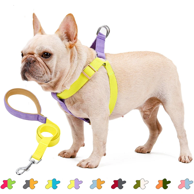 MEOWS Retractable Luxury Dog Harness Leash Collar Set Fashion Special Design Popular Easy Fasten Buckle Pet Accesories
MEOWS Retractable Luxury Dog Harness Leash Collar Set Fashion Special Design Popular Easy Fasten Buckle Pet Accesories
