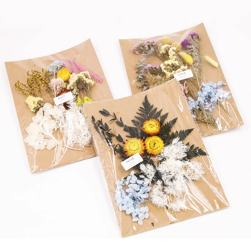 25x19cm/Pack Real Preserved Dried FLower Bouquet Matrials DIY Handmade Photograph Home Desktop Office Garden Wedding Decoration
25x19cm/Pack Real Preserved Dried FLower Bouquet Matrials DIY Handmade Photograph Home Desktop Office Garden Wedding Decoration