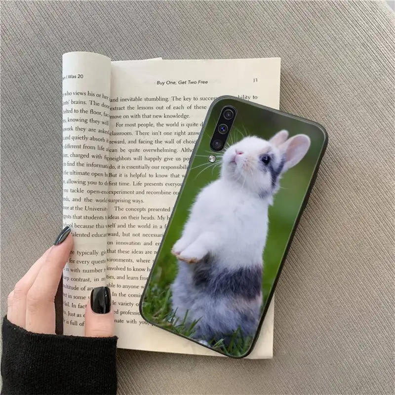 Cute White Baby Rabbits Phone Case For Samsung galaxy S 9 10 20 A 10 21 30 31 40 50 51 71 s note 20 j 4 2018 plus
Cute White Baby Rabbits Phone Case For Samsung galaxy S 9 10 20 A 10 21 30 31 40 50 51 71 s note 20 j 4 2018 plus