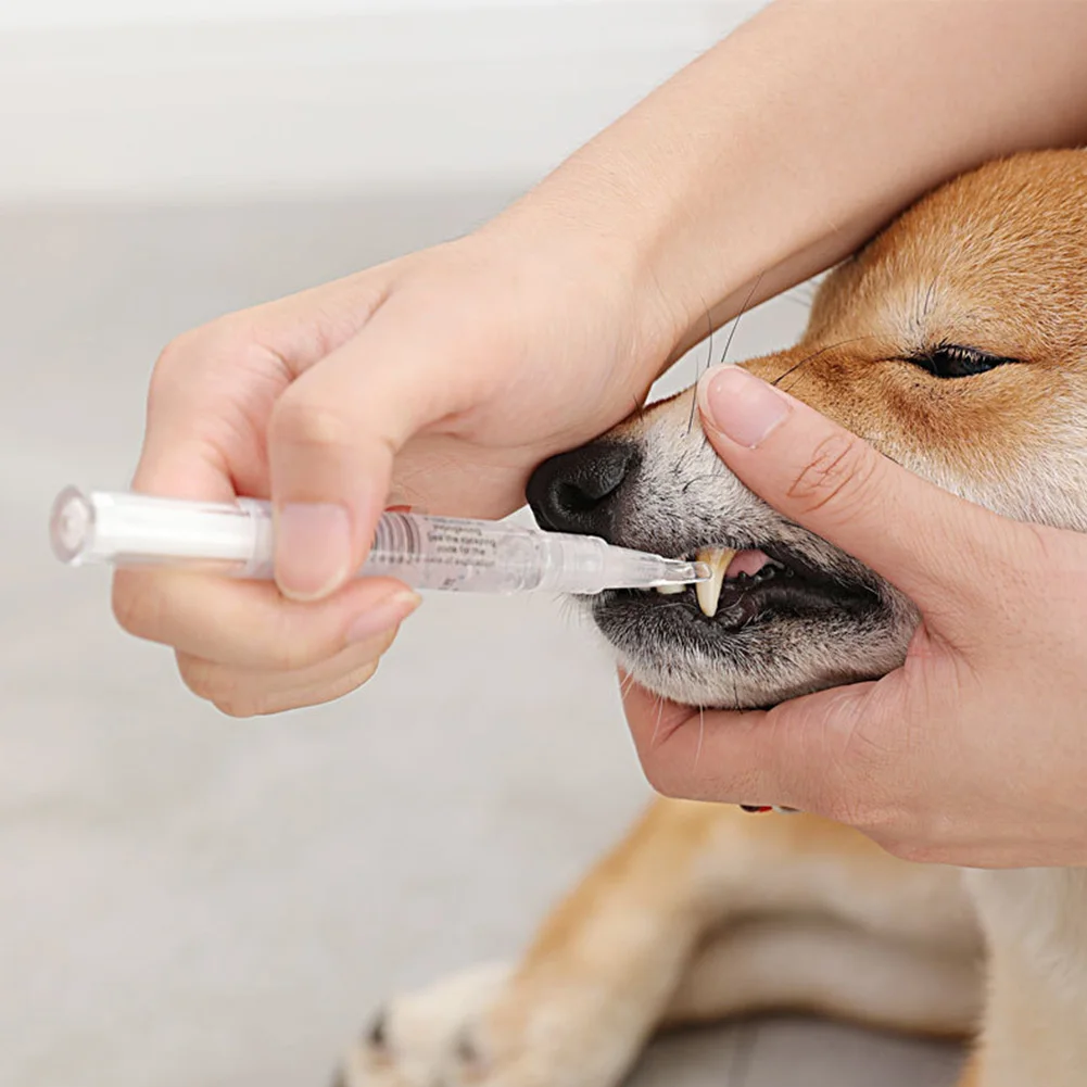 2PCS Dog Cat Pet Teeth Cleaning Pen Kit Brightening Grooming Toothbrush Dental Calculus Safe Tartar Remove Tool Mouth Fresh
2PCS Dog Cat Pet Teeth Cleaning Pen Kit Brightening Grooming Toothbrush Dental Calculus Safe Tartar Remove Tool Mouth Fresh
