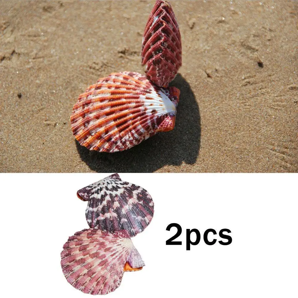 shell B3F3
shell B3F3