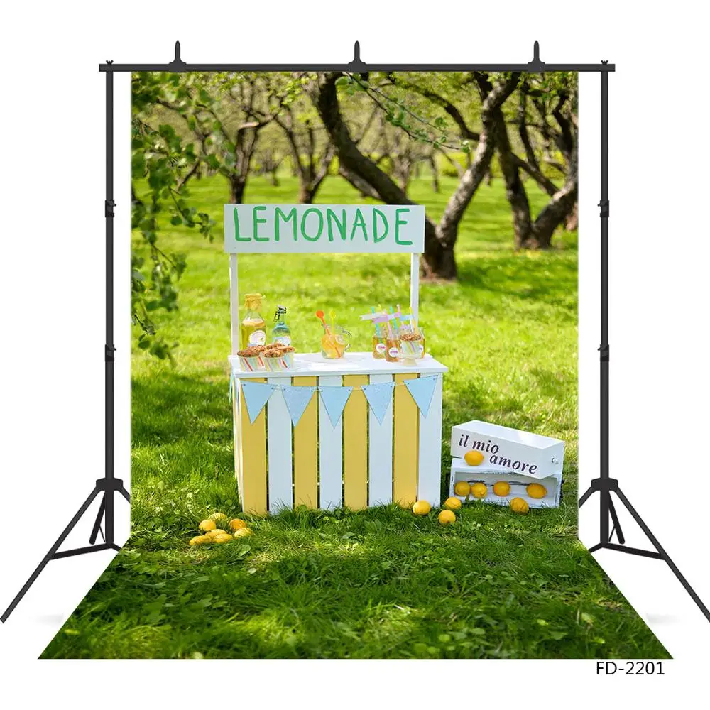 Фон для фотосъемки Lemonade с подставкой лугами и солнечным светом детского душа