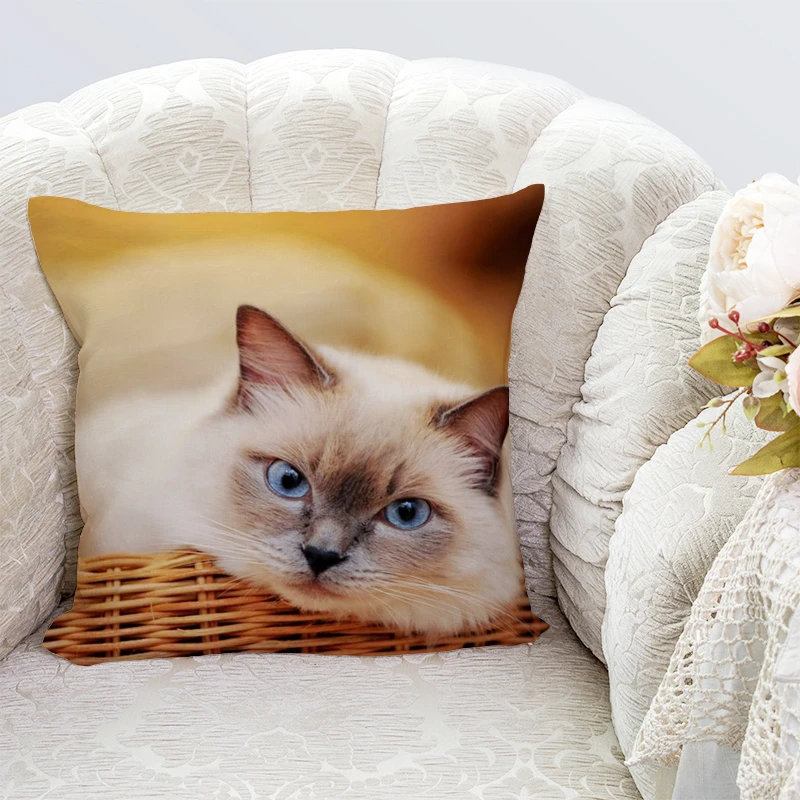 Can choose size Pillowslip Cotton polyester simple style Sofa Bed Home Animal pattern Decorative Pillowcases
Can choose size Pillowslip Cotton polyester simple style Sofa Bed Home Animal pattern Decorative Pillowcases