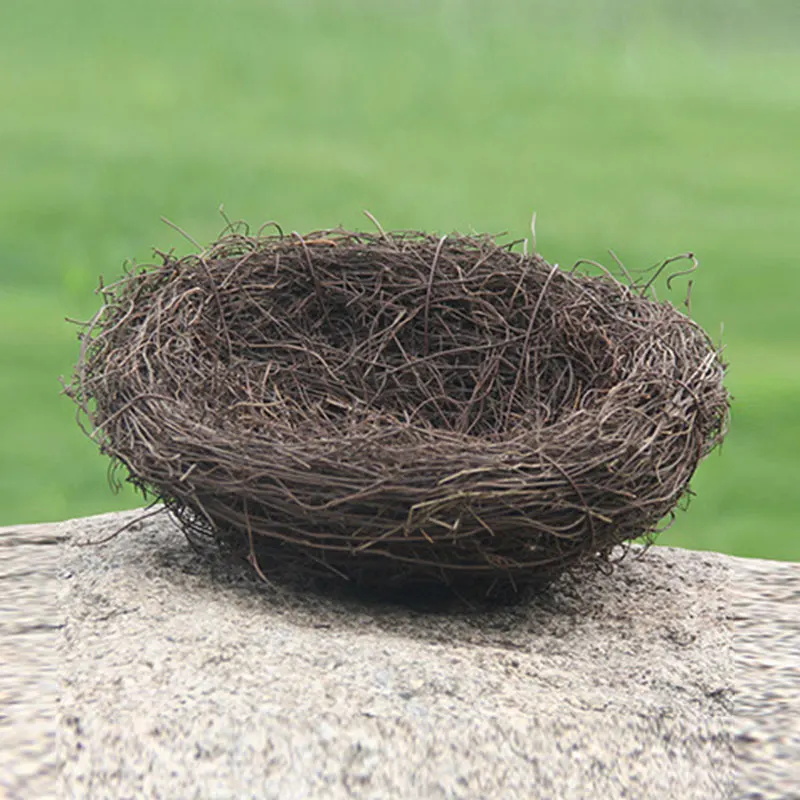 Nature 6/8/10/12/15 cm Vintage Decoration Prop Bird Nest Bird Cage Creative for Optical Store Window Display Photography Props
Nature 6/8/10/12/15 cm Vintage Decoration Prop Bird Nest Bird Cage Creative for Optical Store Window Display Photography Props