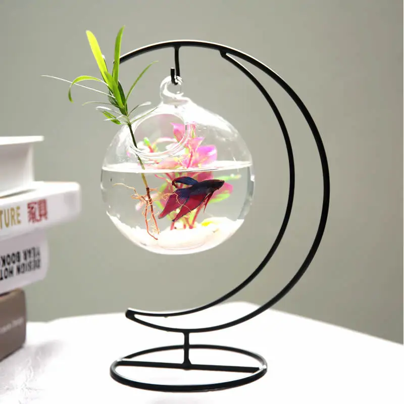 Hanging Simple Mini Desktop Fishbowl Transparent Glass Round Creative Home Desk Living Room Fishbowl Aquarium Decoration
Hanging Simple Mini Desktop Fishbowl Transparent Glass Round Creative Home Desk Living Room Fishbowl Aquarium Decoration