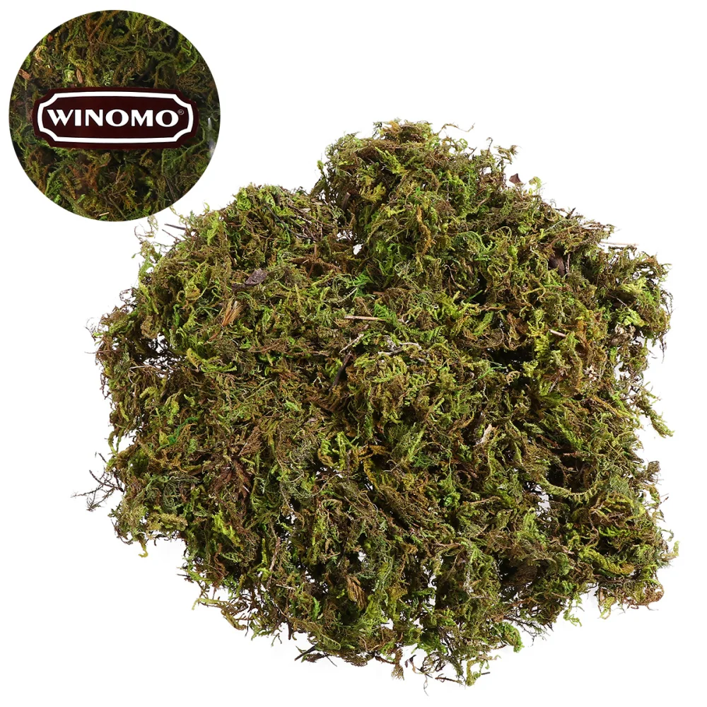 3 Packs Artificial Moss Lichen Simulation Fake Green Plants for Home Garden Patio Decoration (About 60g)
3 Packs Artificial Moss Lichen Simulation Fake Green Plants for Home Garden Patio Decoration (About 60g)