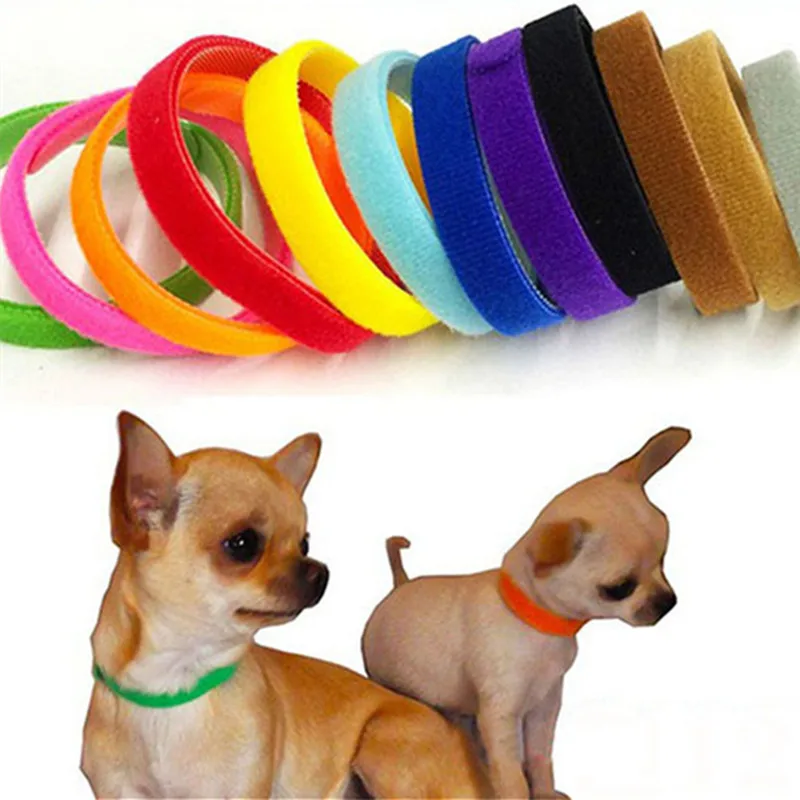12pcs 20/35CM Whelping Puppy Kitten ID Collars Bands Adjustable Identity Recognition Collar For Pet Dog Cat Product
12pcs 20/35CM Whelping Puppy Kitten ID Collars Bands Adjustable Identity Recognition Collar For Pet Dog Cat Product