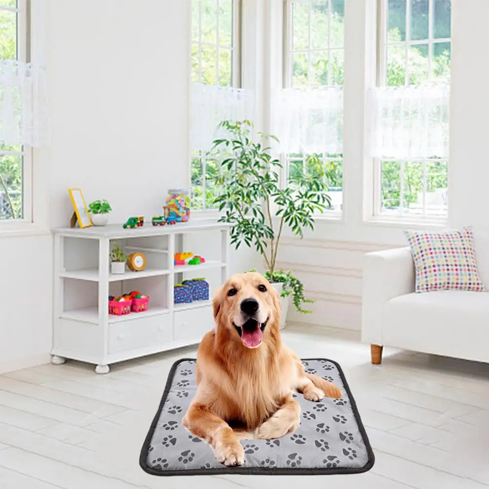 Pet Electric Blanket Heating Pad Heating Dog Bed Dog Cat Bed Mat Waterproof Anti-Bite Adjustable Temperature Chair Cushion 
Pet Electric Blanket Heating Pad Heating Dog Bed Dog Cat Bed Mat Waterproof Anti-Bite Adjustable Temperature Chair Cushion